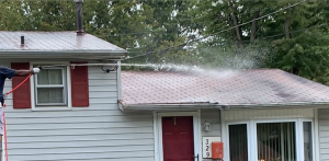 why roof washing is important